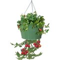 Next2Nature Enameled Galvanized Hanging Strawberry, Floral Planter - Sage NE2588652